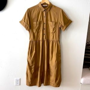 Everlane size 8 dress